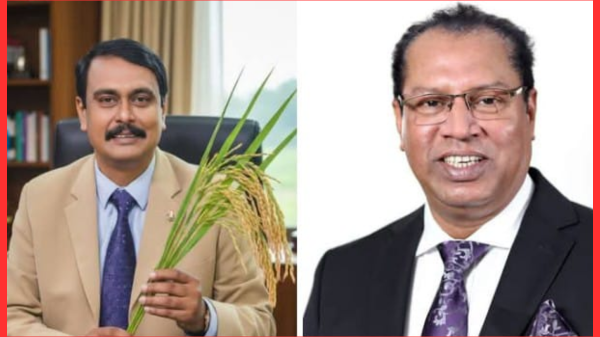 বিএনপির সিদ্ধান্ত উপেক্ষা করে নির্বাচনে মিজান চৌধুরী