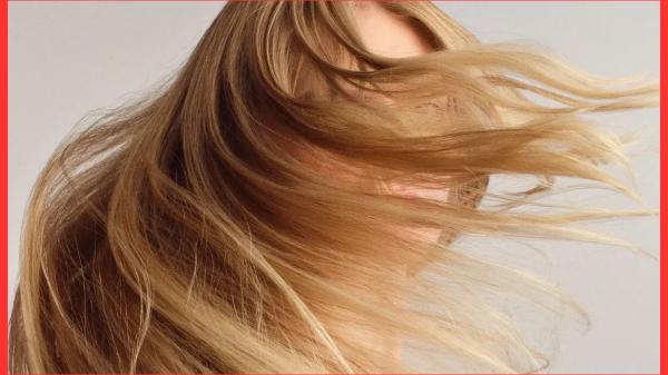 ঘরোয়া উপায়ে চুলের যত্ন: প্রাকৃতিক, সহজ ও কার্যকর