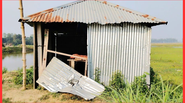 গাবতলীতে সন্ত্রাসীদের তাণ্ডব: মাছ লুট ও গাছপালা ভাঙচুরের অভিযোগ