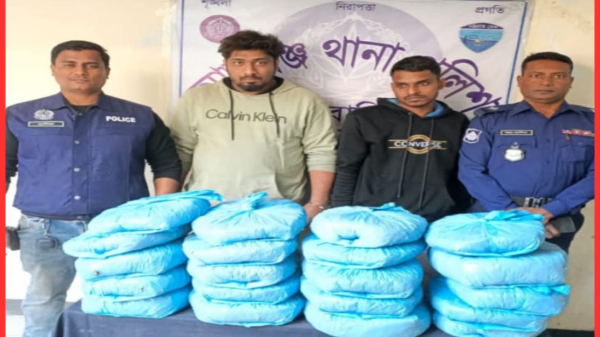 আশুগঞ্জ থানা পুলিশের অভিযানে ২০ কেজি গাঁজা উদ্ধার