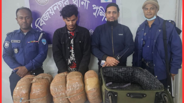 বিজয়নগর থানা পুলিশের বিশেষ অভিযানে ১০ কেজি গাঁজা উদ্ধার; মাদক কারবারি গ্রেফতার