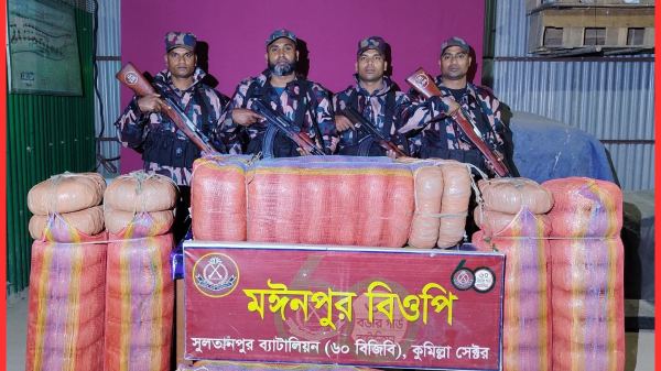 কসবায় বিজিবির অভিযানে ১৪০ কেজি ভারতীয় গাঁজা জব্দ