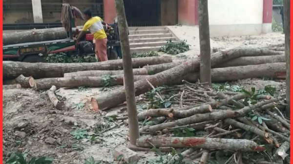 ফরিদপুরের সালথায় স্কুল চত্বরে গাছ কাটা নিয়ে দফায় দফায় সংঘর্ষ, আহত ২০