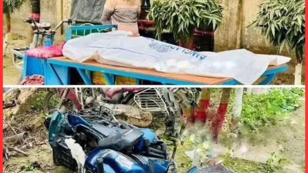 ধনবাড়ীতে রাজিব পরিবহনের ধাক্কায় প্রাণ গেল তরুণীর, আহত ১