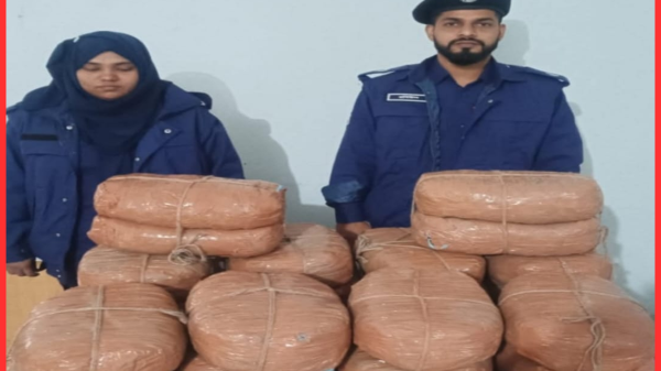 কসবা থানা পুলিশের পৃথক অভিযানে ৫০ কেজি গাঁজা উদ্ধার, গ্রেপ্তার ২