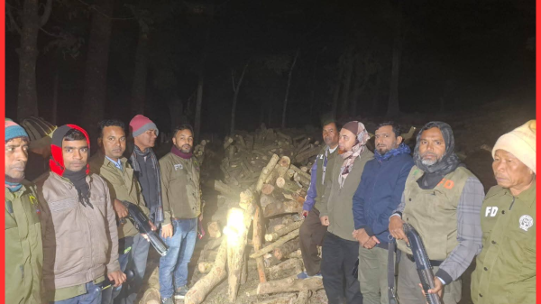 আলীকদমে ইটভাটায় বন বিভাগের অভিযান: ২০০০ ঘনফুট অবৈধ কাঠ জব্দ