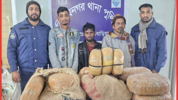 ব্রাহ্মণবাড়িয়ায় বিজয়নগর পুলিশের অভিযানে ৩০ কেজি গাঁজা জব্দ, ৩ জন গ্রেফতার