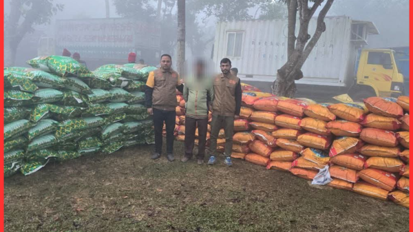 হবিগঞ্জে ডিবি অভিযান: ৮৮ বস্তা ভারতীয় জিরা উদ্ধার, ১ গ্রেফতার