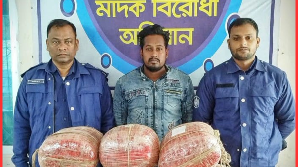 ফুলবাড়ীতে মাদকবিরোধী অভিযানে ৩২ কেজি গাঁজাসহ আটক ১