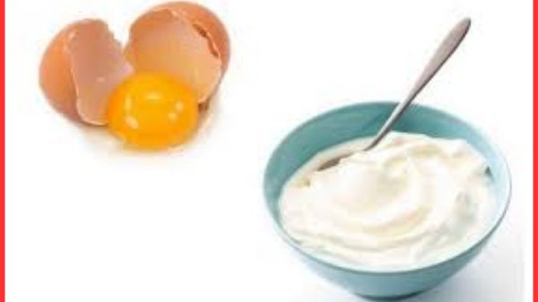 দই না ডিম, চুলের জন্য কোনটি ভালো?