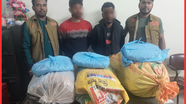 হবিগঞ্জে ডিবি অভিযানে ২৬ কেজি গাঁজাসহ ২ মাদক কারবারি আটক