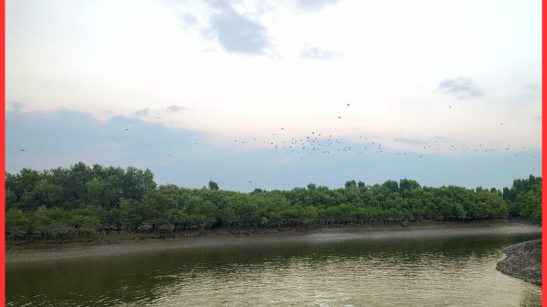 সুন্দরবনে জলদস্যুর অপহরণে ১৪ জেলে মুক্ত, ছয়জন এখনও বন্দি