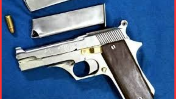 ভোটের আগে অস্ত্রের কদর রাজশাহী–চাঁপাই সীমান্তে