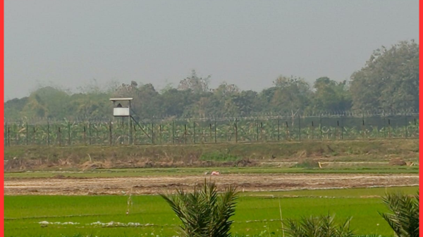 জীবননগর সীমান্তে মাদকসহ দুই বাংলাদেশি আটক