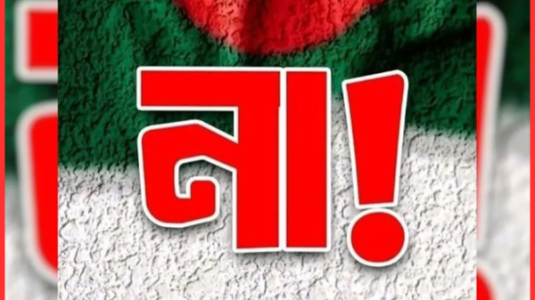 গণভোটে প্রাপ্ত তথ্যানুসারে সংশ্লিষ্ট আসনগুলোতে ‘হ্যাঁ’ ও ‘না’ ভোটের তুলনামূলক চিত্র নিচে দেওয়া হলো: