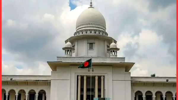 ধানের শীষে বিজয়ী ১৩ সুপ্রিম কোর্ট আইনজীবী