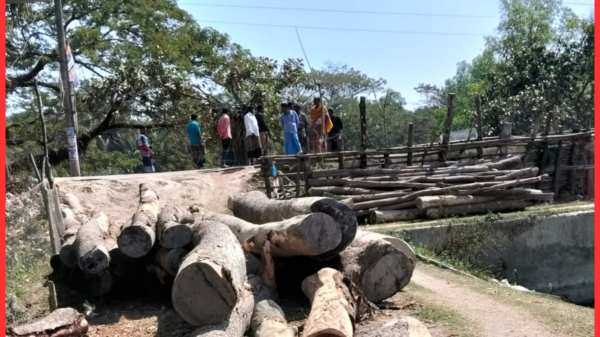 বরগুনায় ইউপি সদস্যের বিরুদ্ধে সরকারি রাস্তা বন্ধের অভিযোগ