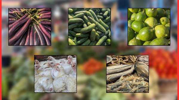 রাজধানীতে রমজানের শুরুতেই চড়া মাছ ও সবজির দাম, মুরগিতে সামান্য হ্রাস