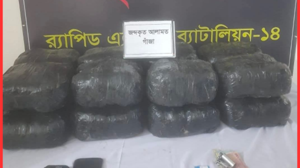 কালিহাতীতে র‍্যাবের অভিযানে ৪১ কেজি গাঁজাসহ ৪ জন গ্রেফতার