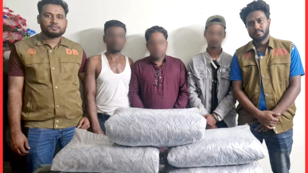 হবিগঞ্জে বিশেষ অভিযানে ১০ কেজি গাঁজা ও ৩ মাদক কারবারি আটক