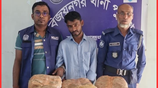 বিজয়নগর থানা পুলিশের অভিযানে ২৪ কেজি গাঁজা উদ্ধার, আটক ১