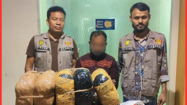 শাহবাগে ৩০ কেজি গাঁজা ও ৮ হাজার ট্যাপেন্টাডল ট্যাবলেটসহ মাদক কারবারি গ্রেফতার