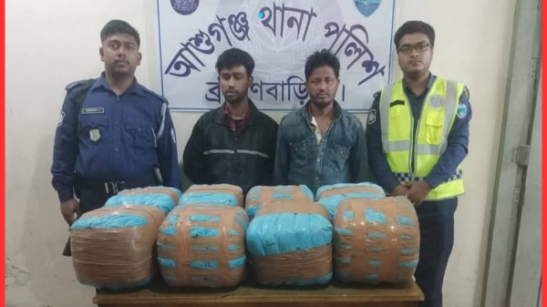 আশুগঞ্জে ৭০ কেজি গাঁজাসহ পিকআপ আটক, দুই মাদক কারবারি গ্রেফতার
