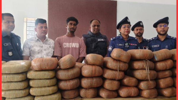 কসবায় পৃথক অভিযানে ১৭২ কেজি গাঁজা উদ্ধার, গ্রেফতার ৩ মাদক কারবারি