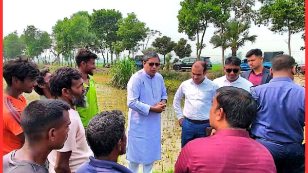 প্রটোকল ভেঙে কৃষকের মাঠে প্রতিমন্ত্রী মীর শাহে আলম এমপি