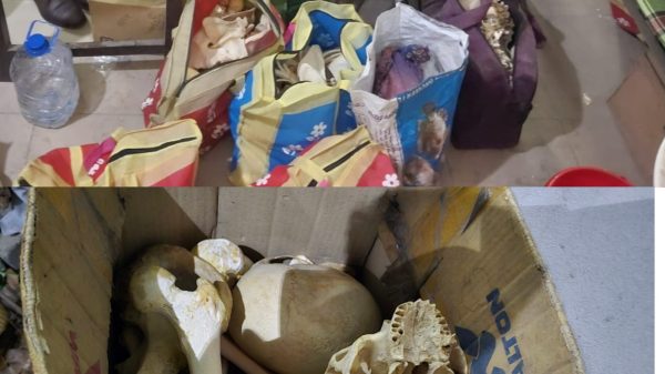 উত্তরায় অভিযানে ৪৭টি মানব কঙ্কাল উদ্ধার, গ্রেপ্তার ৪