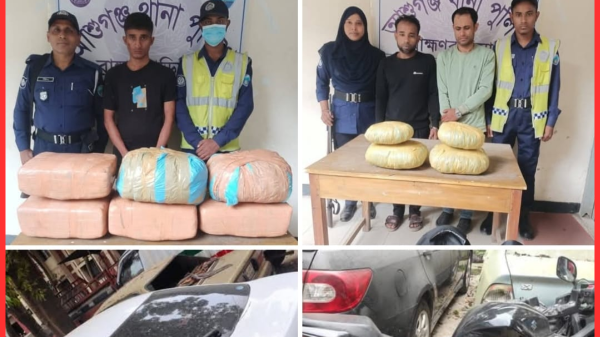 আশুগঞ্জে পৃথক অভিযানে ৩০ কেজি গাঁজা উদ্ধার, ৩ মাদক কারবারী গ্রেফতার