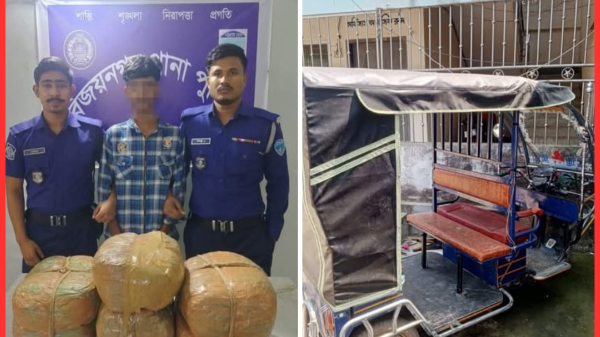 বিজয়নগরে ১৪ কেজি গাঁজাসহ মাদক কারবারি গ্রেফতার