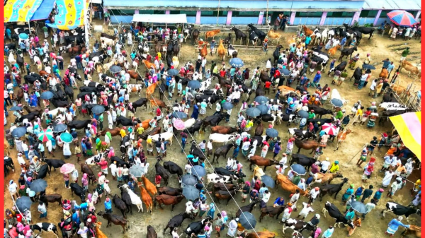 ভাঙ্গুড়ার শরৎনগর হাটের টোল রেট পুনঃনির্ধারণের দাবি