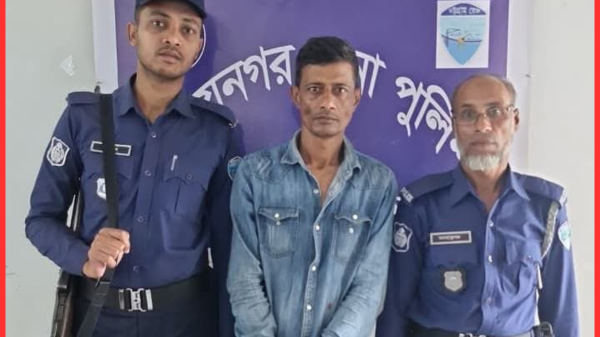 বিজয়নগরে ১২ কেজি গাঁজাসহ মাদক কারবারি গ্রেফতার