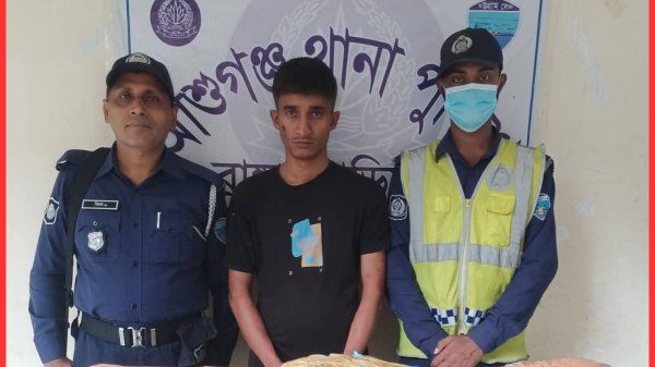 আশুগঞ্জে ৩০ কেজি গাঁজা উদ্ধার, প্রাইভেটকার ও মোটরসাইকেলসহ ৩ মাদক কারবারি গ্রেফতার