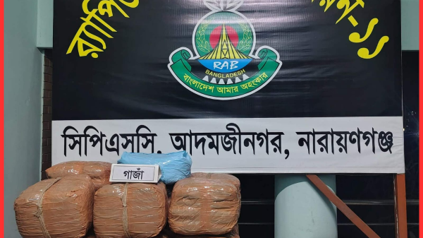র‍্যাব-১১ এর অভিযানে রূপগঞ্জে ৫৩ কেজি গাঁজা ও ৭৬ বোতল স্কাফ উদ্ধার