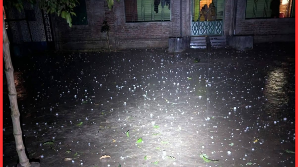 ঝিনাইগাতীতে ভয়াবহ শিলাবৃষ্টি, মুহূর্তেই সাদা হয়ে গেল গ্রামাঞ্চল