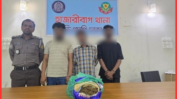 রাজধানীর হাজারীবাগে ২ কেজি ৫০০ গ্রাম গাঁজাসহ ৩ মাদক কারবারি গ্রেফতার