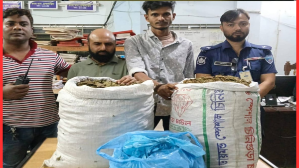 কসবায় পুলিশ অভিযানে গাঁজা-ইয়াবা উদ্ধার, ৩ মাদককারবারী গ্রেফতার
