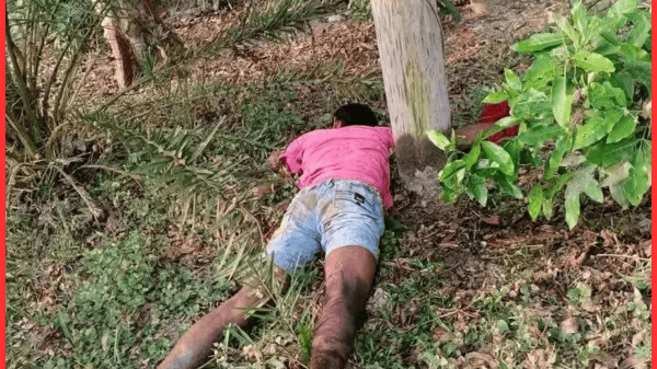 ট্রান্সফর্মার চুরি করতে গিয়ে বিদ্যুৎস্পৃষ্ট হয়ে যুবকের মৃত্যু