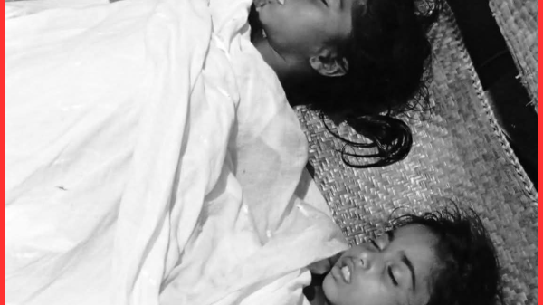 পুকুরে গোসল করতে নেমে দুই বোনের মৃত্যু, সুবর্ণচরে শোকের ছায়া