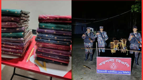 পঞ্চগড় সীমান্তে ভারতীয় শাড়ি ও গরু জব্দ, মূল্য প্রায় ৩.৭ লাখ টাকা
