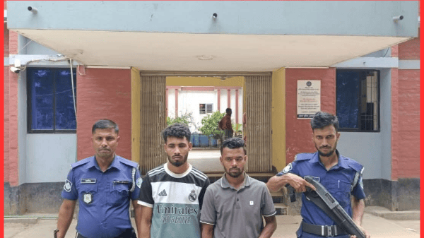 নবীনগরে পুলিশের মাদক অভিযানে ১০ কেজি গাঁজাসহ দুই কারবারি গ্রেফতার