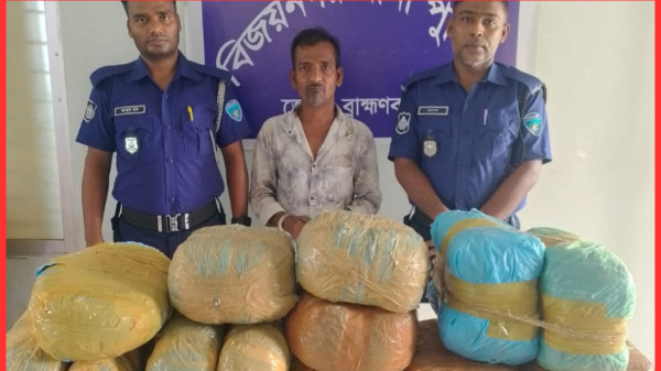 বিজয়নগরে ২৬ কেজি গাঁজা উদ্ধার, মাদক কারবারি গ্রেফতার