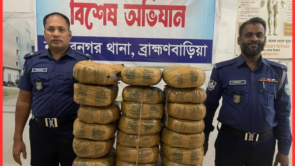 নাসিরনগরে বিপুল পরিমাণ গাঁজা উদ্ধার, মামলা দায়ের