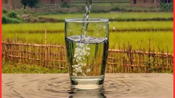 রামপালে বিশুদ্ধ পানির তীব্র সংকট: লবণাক্ততা ও অব্যবস্থাপনায় জনজীবন বিপর্যস্ত, জরুরি পদক্ষেপের দাবি