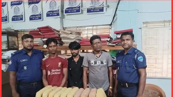 কসবায় থানা পুলিশের পৃথক অভিযানে ৭৫ কেজি গাঁজা উদ্ধার, ৩ মাদক কারবারী গ্রেফতার