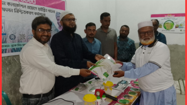 ব্র্যাক সিডের উদ্যোগে হাইব্রিড ধান ফলন বৃদ্ধিতে কৃষক কর্মশালা অনুষ্ঠিত