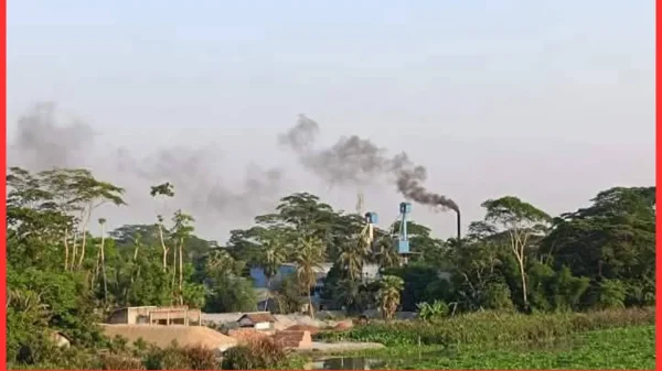 পয়সারহাটে অটো রাইস মিলের দূষণে জনজীবন বিপর্যস্ত