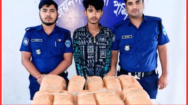 বিজয়নগরে ২০ কেজি গাঁজাসহ একজন আটক, পলাতক ২